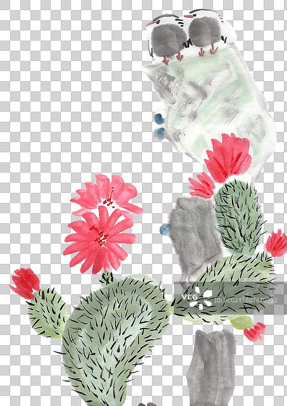 两只 鸟 爱情 一对 爱情鸟 鸟类图片素材