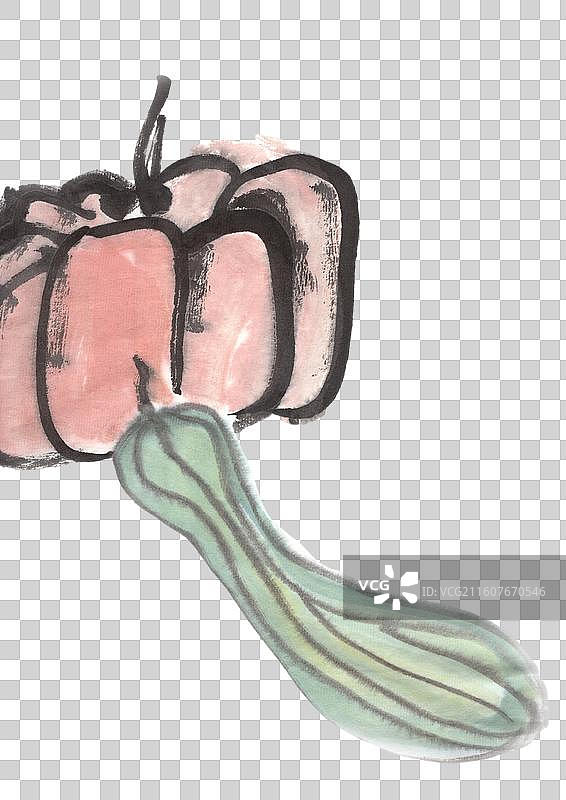 设计 元素 水墨植物 点缀 丝瓜图片素材