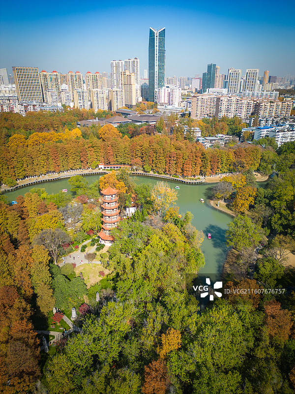 航拍秋日里武汉解放公园中华名塔园步月塔和远处的摩天大楼图片素材