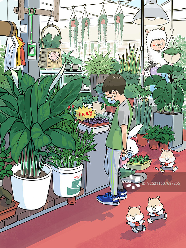 去花卉市场挑选一盆多肉图片素材