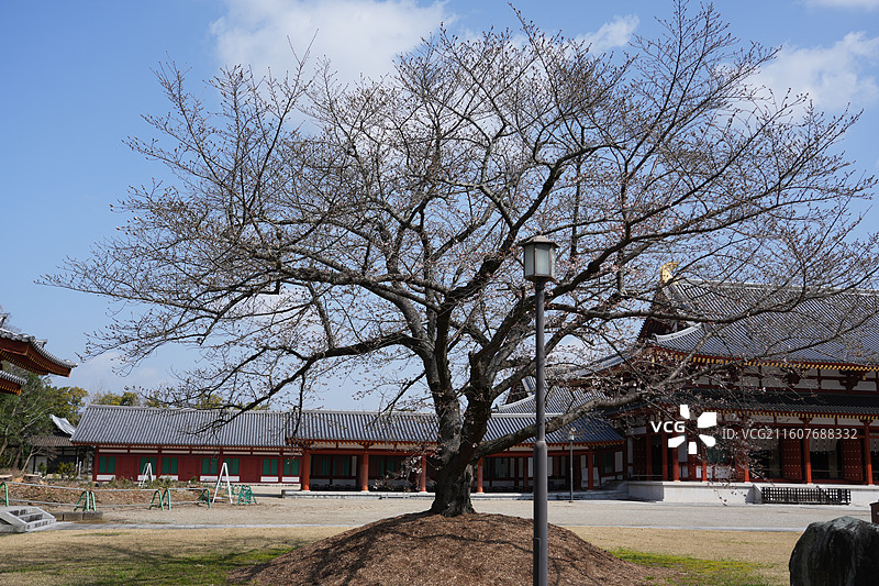 奈良药师寺图片素材