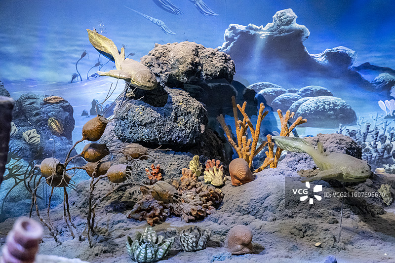 天津自然博物馆“家园·生命展区”：古生代海洋复原场景图片素材