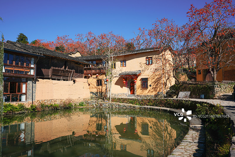 古厝柿树映池塘—— 福建宁德市屏南县熙岭乡四坪村图片素材