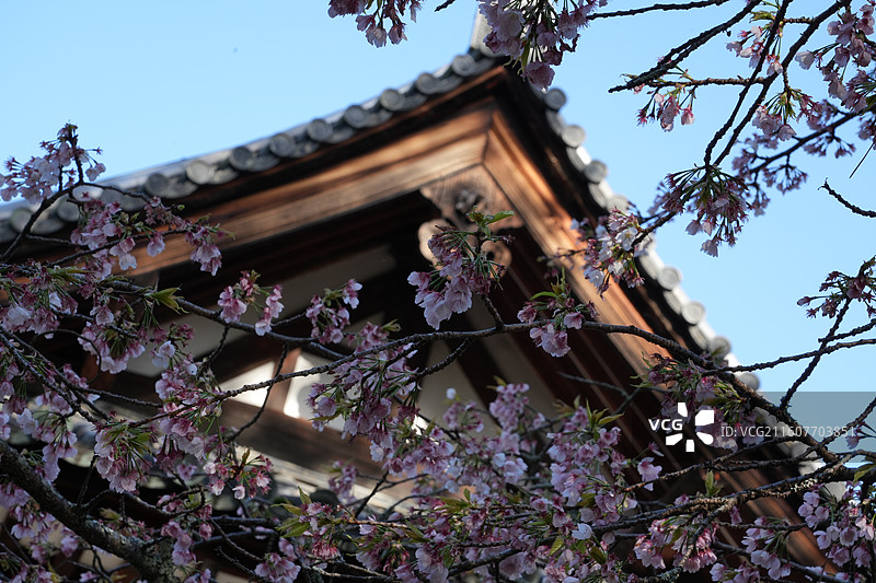 奈良唐招提寺图片素材