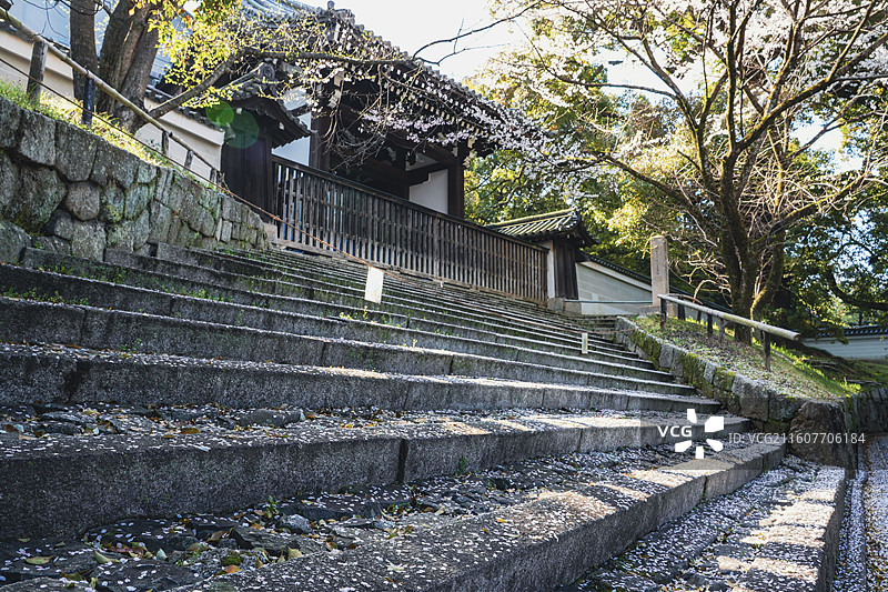京都知恩院图片素材