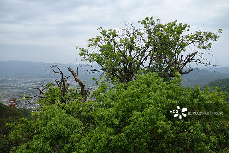 陕西省汉中市西乡县午子山：顶观图片素材