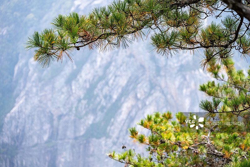 江西庐山大天池、庐山龙首崖图片素材