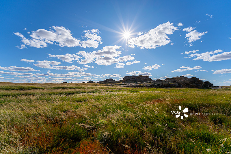 内蒙古锡林郭勒盟苏尼特左旗芦苇岩石自然风光图片素材