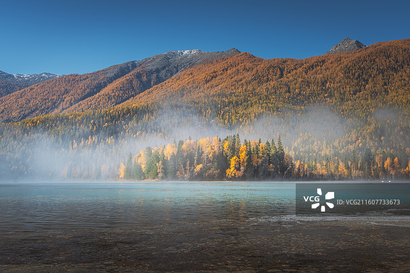 喀纳斯神仙湾秋季彩林与晨雾图片素材