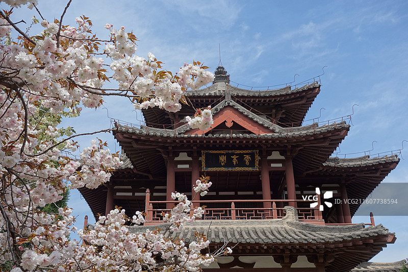 陕西省西安市青龙寺赏樱赏花：云峰阁普贤象樱花图片素材