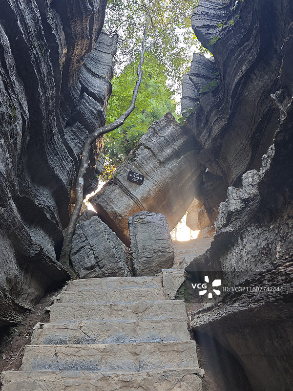 恩施秘境：梭布垭石林，一座活着的化石森林图片素材