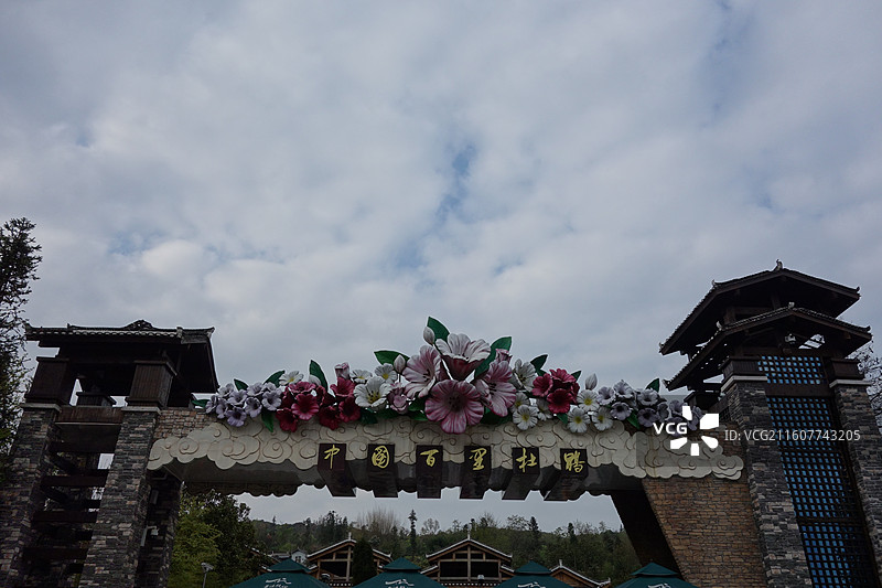 贵州省毕节市百里杜鹃花海：金坡景区图片素材