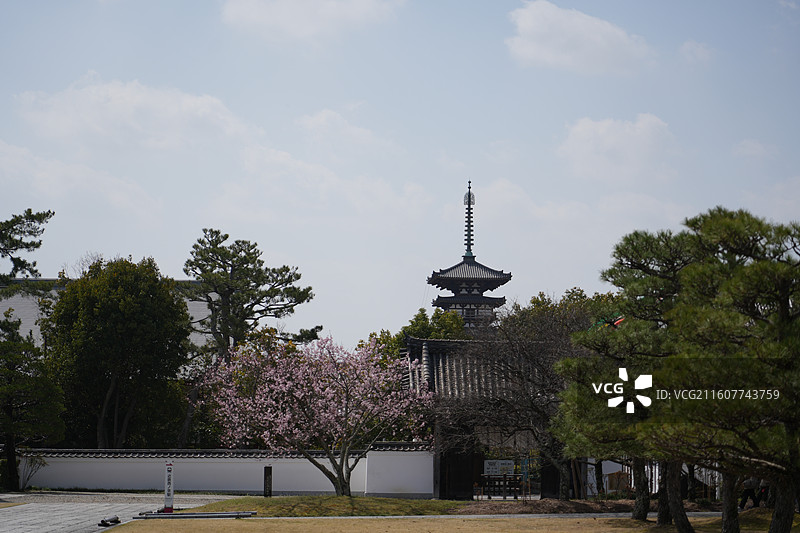 奈良药师寺图片素材