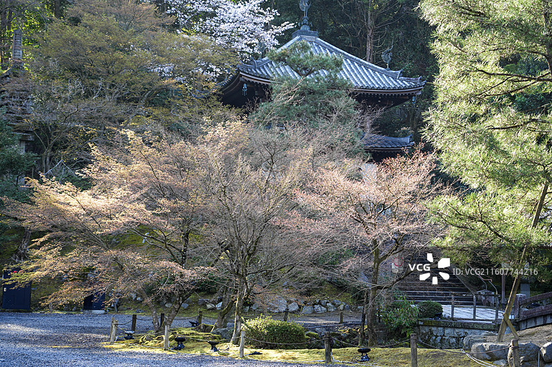 京都知恩院图片素材