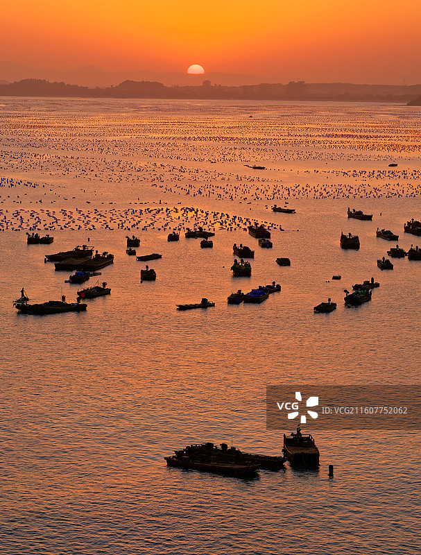 航拍竖画幅夕阳下大海海洋海产养殖基地自然风光图片素材