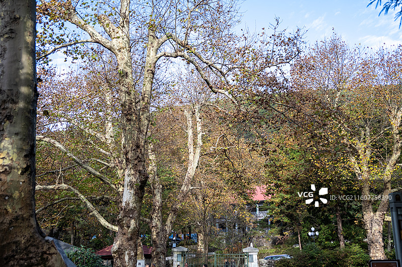 江西庐山美庐 庐山秋景图片素材