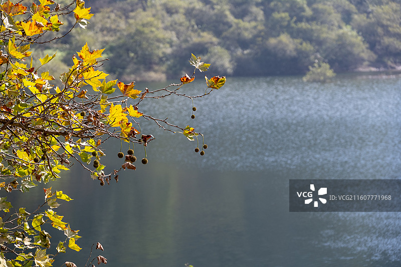 江西庐山电站大坝、庐山乌龙潭、庐山黄龙潭图片素材