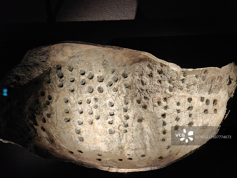 成都金沙遗址博物馆-卜甲图片素材