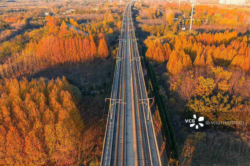 驶向秋天的高速列车 河南省郑州市荥阳市图片素材
