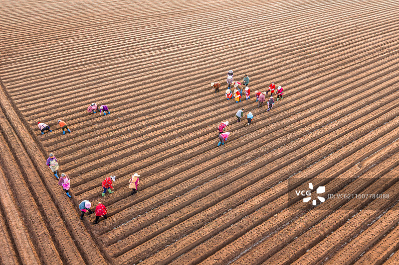 希望的田野图片素材