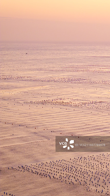 航拍竖画幅夕阳下大海海洋海产养殖基地自然风光图片素材