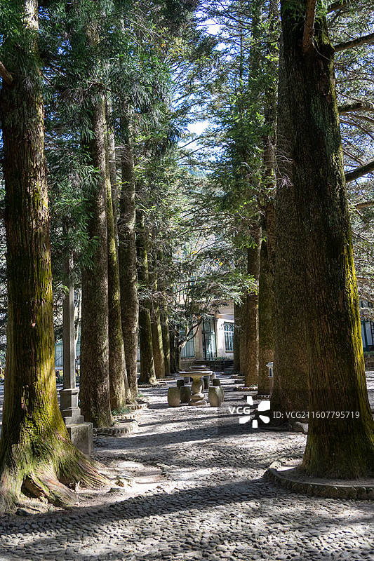 江西庐山 庐山博物馆 庐山秋景图片素材