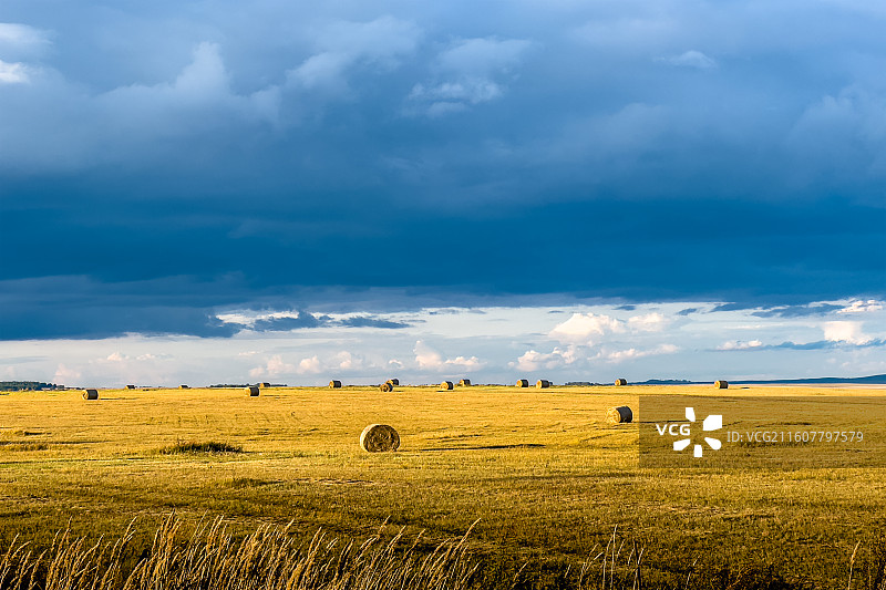 呼伦贝尔秋日限定 | 17点斜阳铺就的草原油画图片素材