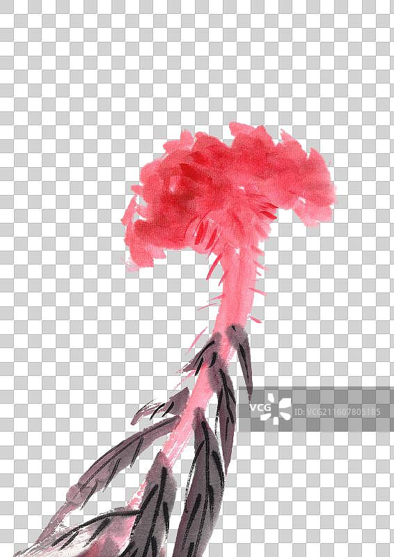 设计 元素 水墨植物 点缀 鸡冠花图片素材