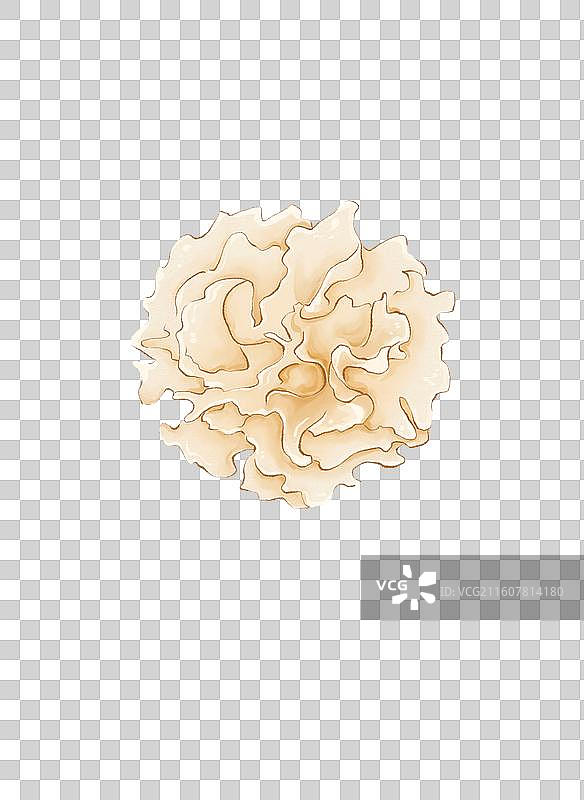 银耳手绘水彩插画图片素材