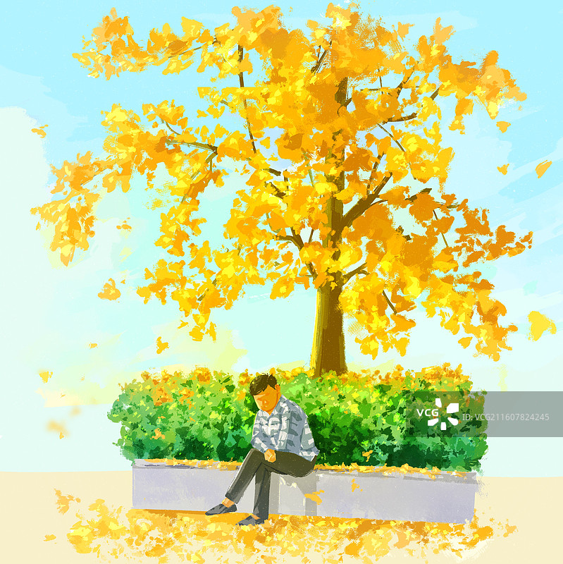银杏树下的阿爸图片素材