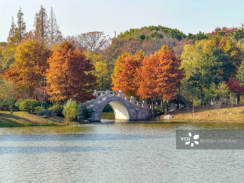 秋天的南通啬园景色，湖水拱桥图片素材
