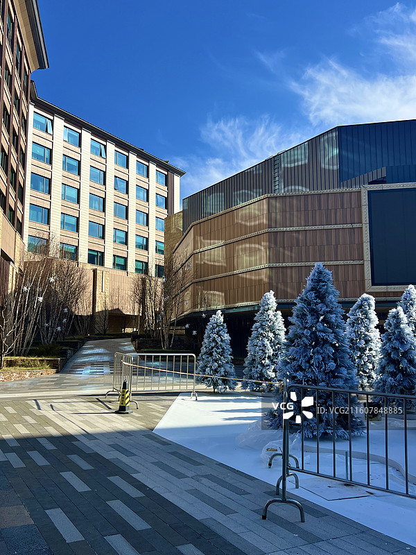 阿那亚圣诞节装扮图片素材