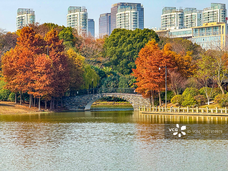 秋日的南通啬园景色，湖水拱桥图片素材