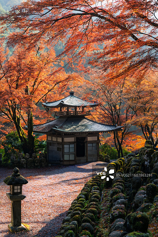 日本京都爱宕念佛寺图片素材