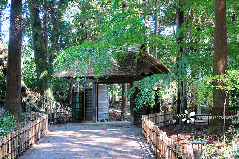 日本茨城县水户市，日本三大名园，偕乐园图片素材