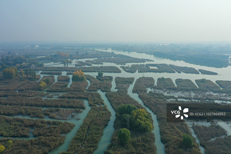 碧水连天映霞光，野鸭掠舞芦花黄  俯身临岸观舟远，银杏红叶风里扬  千岛万湖织洋淀，生态画卷韵悠长图片素材