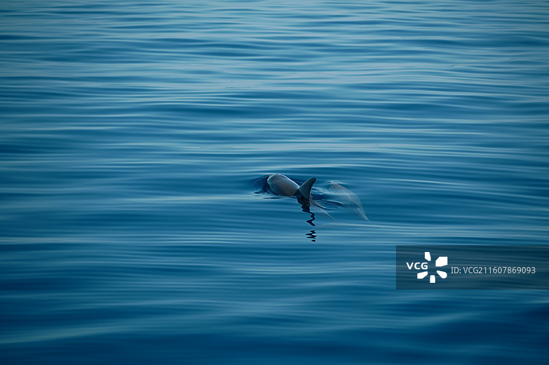 埃及赫尔格达红海图片素材