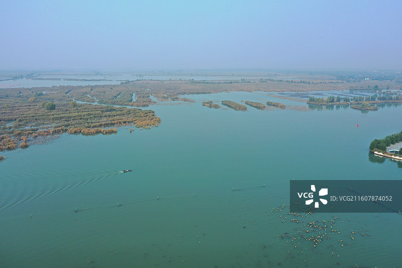 碧水连天映霞光，野鸭掠舞芦花黄  俯身临岸观舟远，银杏红叶风里扬  千岛万湖织洋淀，生态画卷韵悠长图片素材
