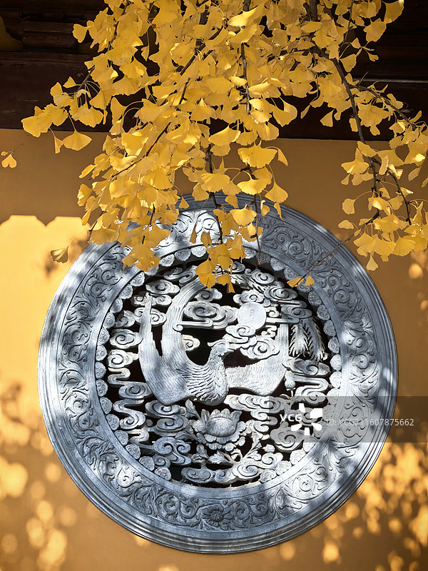 古寺秋日光影——12月初上海龙华古寺银杏进入最佳观赏期（四）图片素材