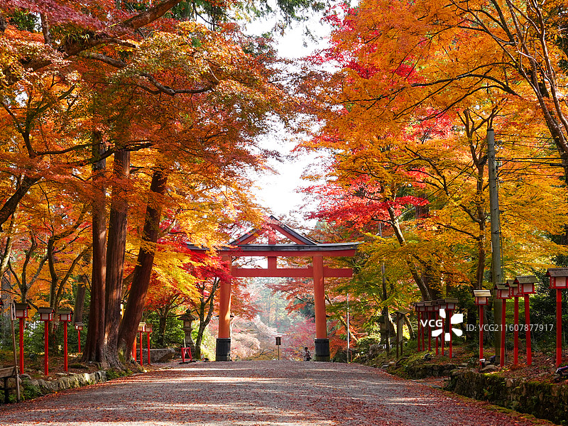 日本滋贺日吉大社秋景图片素材