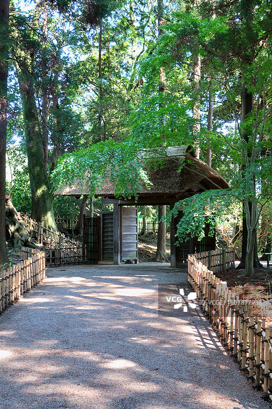 日本茨城县水户市，日本三大名园，偕乐园图片素材