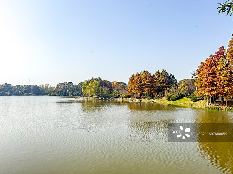 秋日的南通啬园风景，公园湖畔风光图片素材