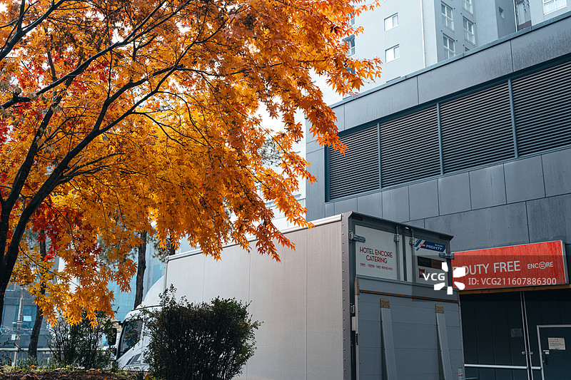 韩国街拍图片素材