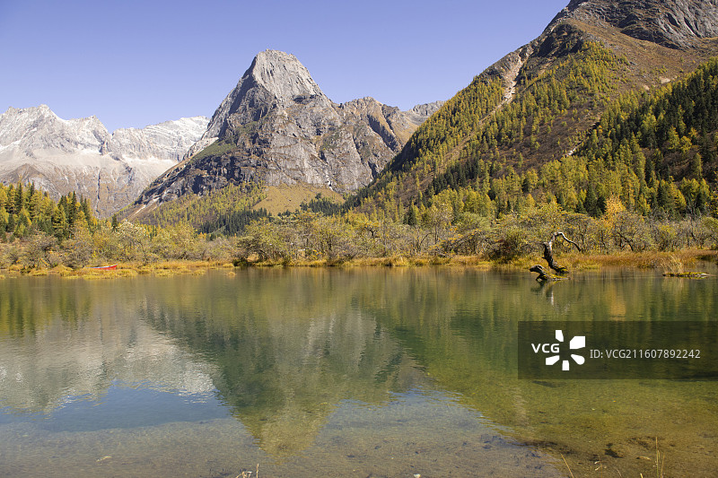 四川小金四姑娘山双桥沟秋色图片素材