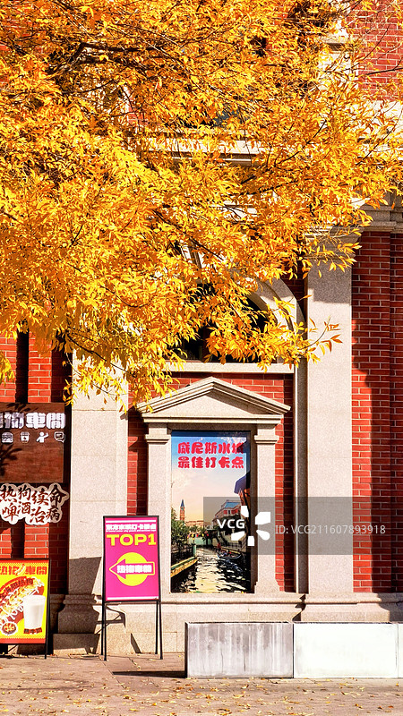 金叶红砖映水城 大连东港威尼斯水城图片素材
