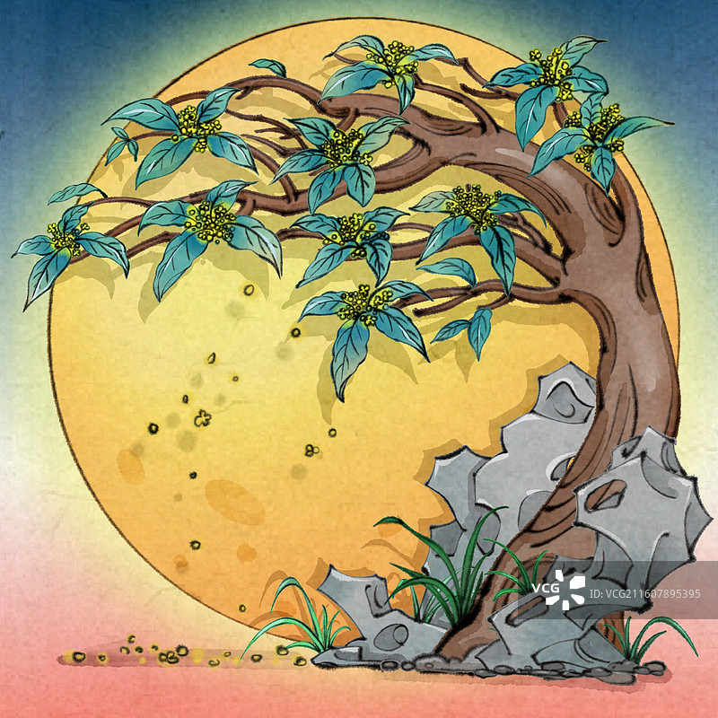 月桂-月亮和桂花树和假山石图片素材