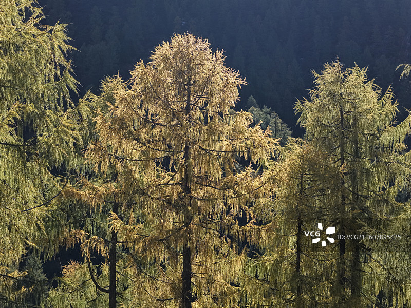 四川四姑娘山风光图片素材