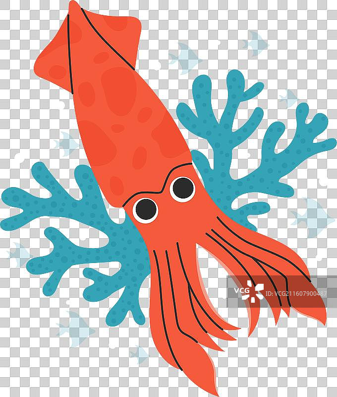 手绘鱿鱼图片素材