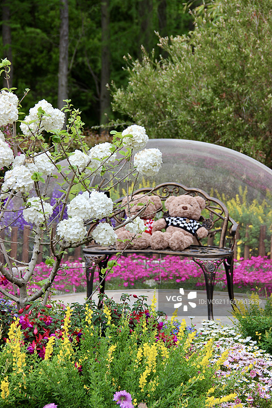 上海植物园缤纷园艺花园图片素材