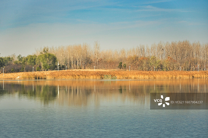 淄博文昌湖冬景图片素材